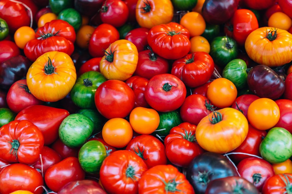 coltivare pomodori nell’orto