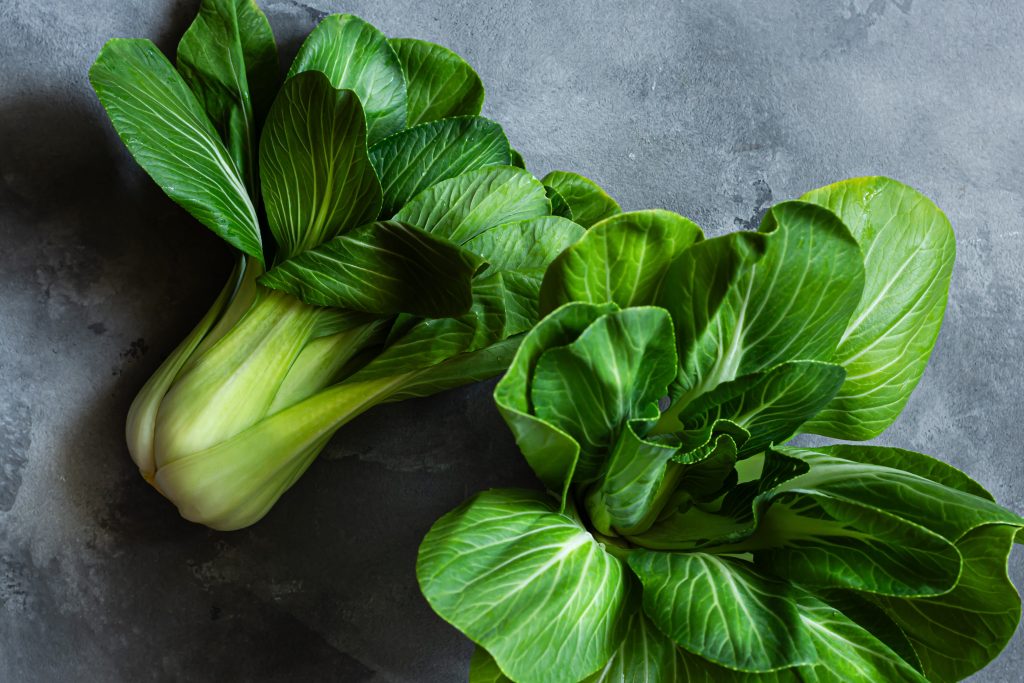 Bok Choi 