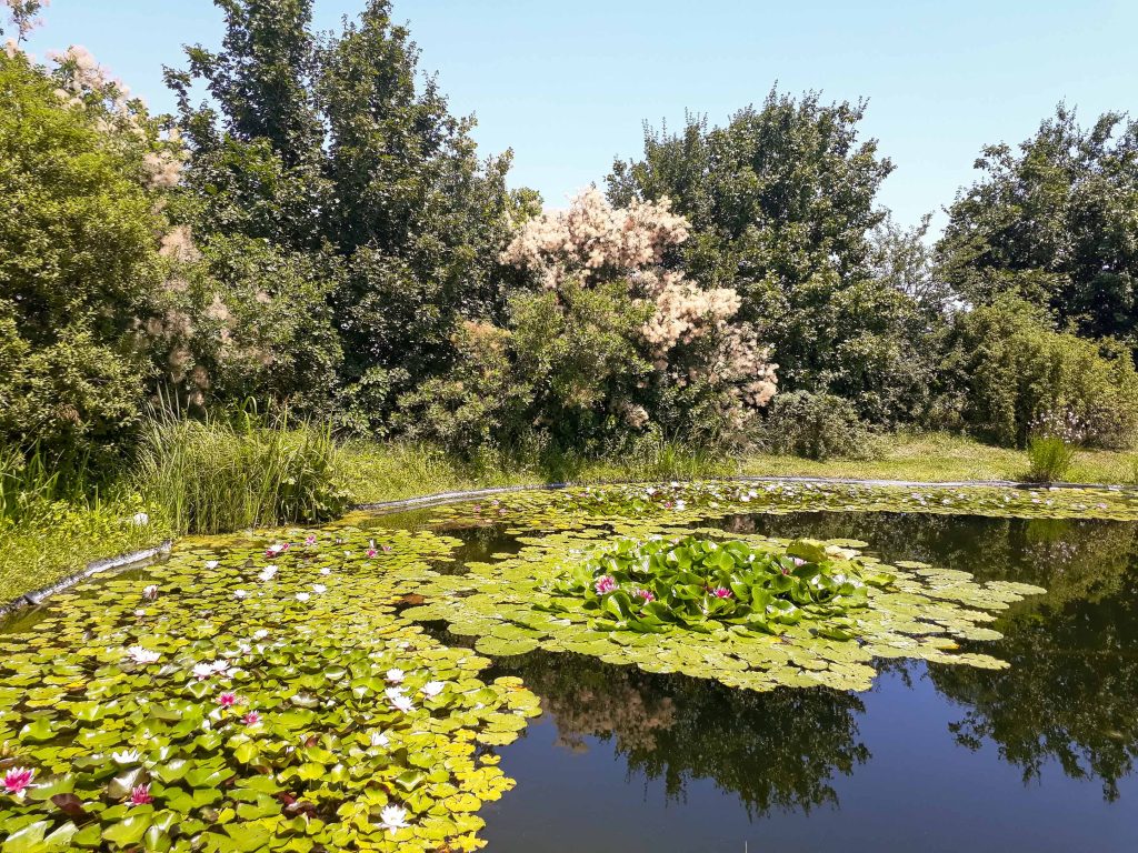 Compagnia delle Piante Ornamentali premio Gardenia-AICG