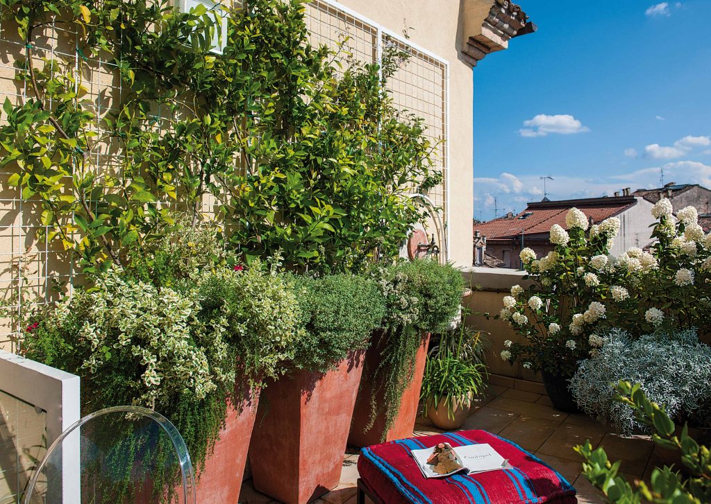 terrazza a Macerata Luigina Giordani